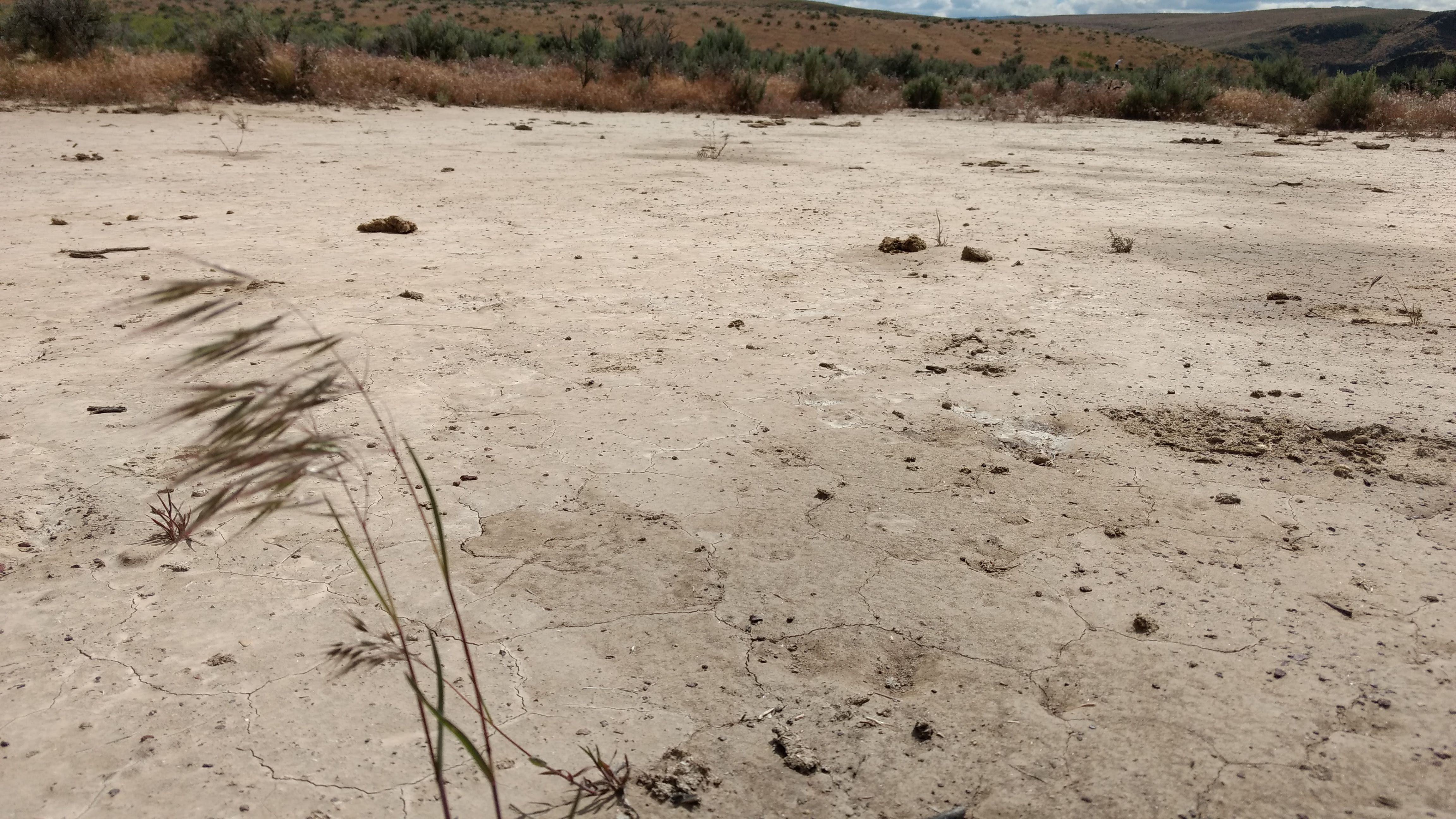 A Dried Out Watering Hole in Idaho, June 2017