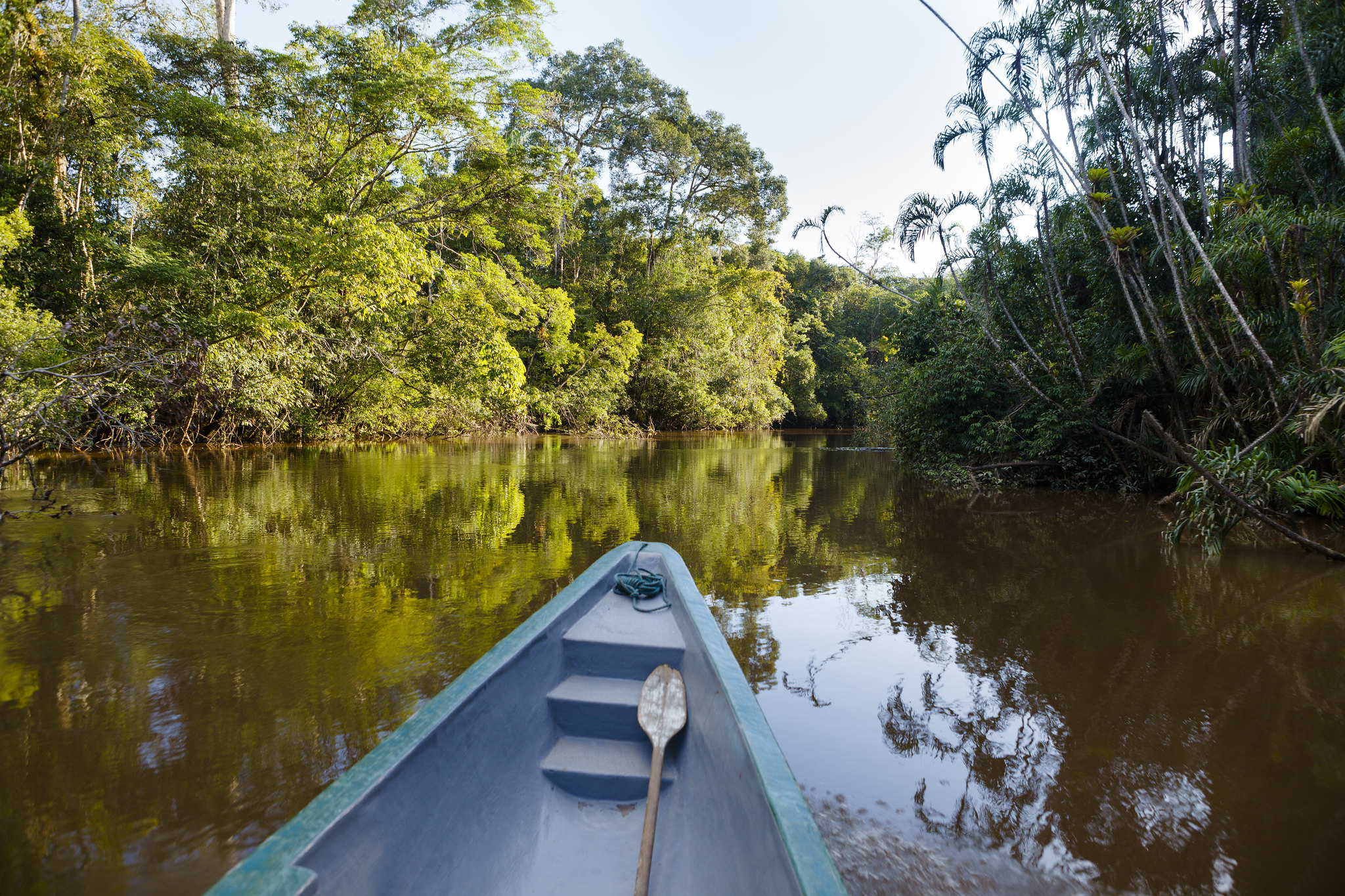 The Desire Lines takes place in the amazon rainforest.