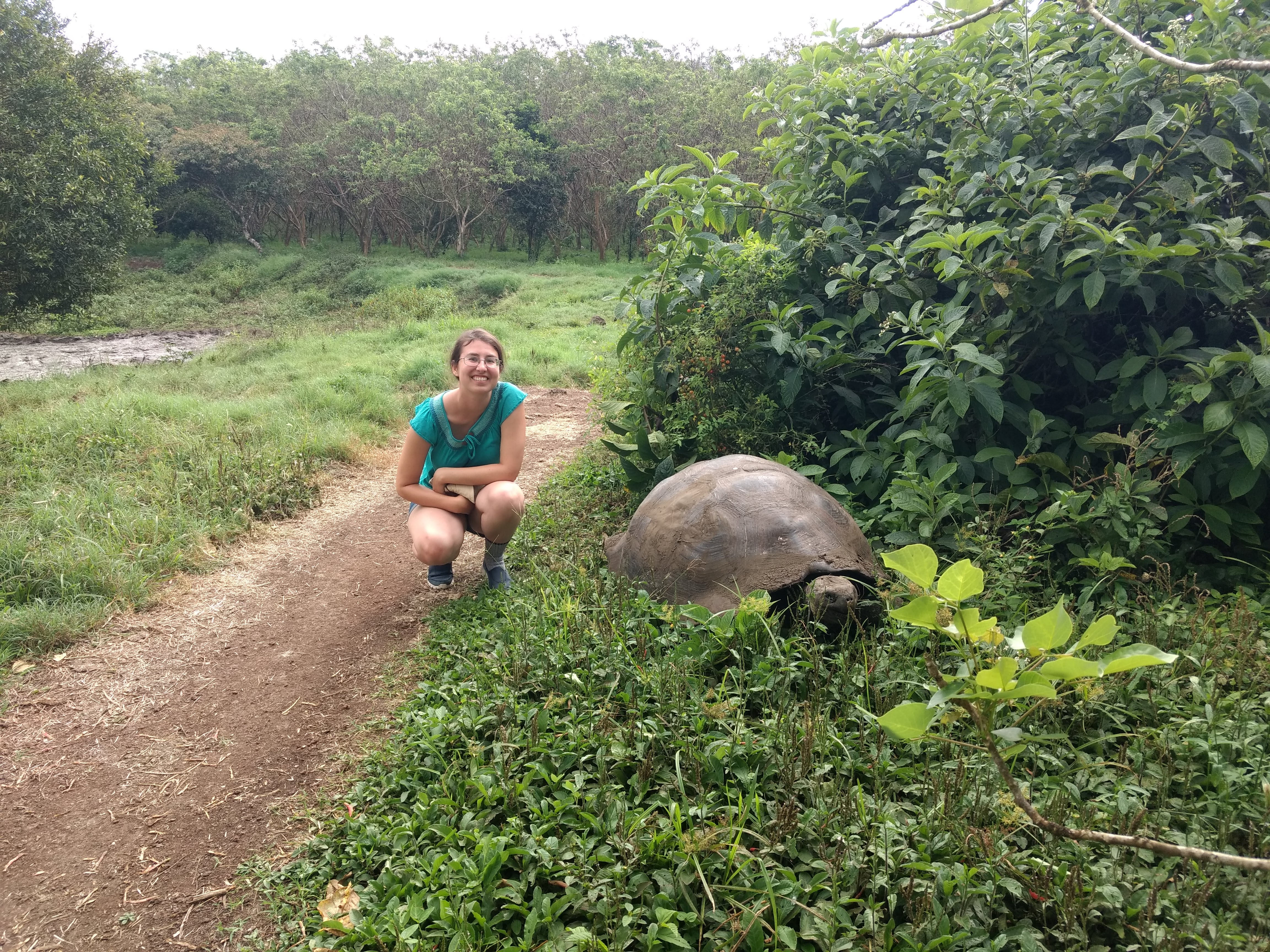 Me with Galapagos Tortoises, Jan 2018