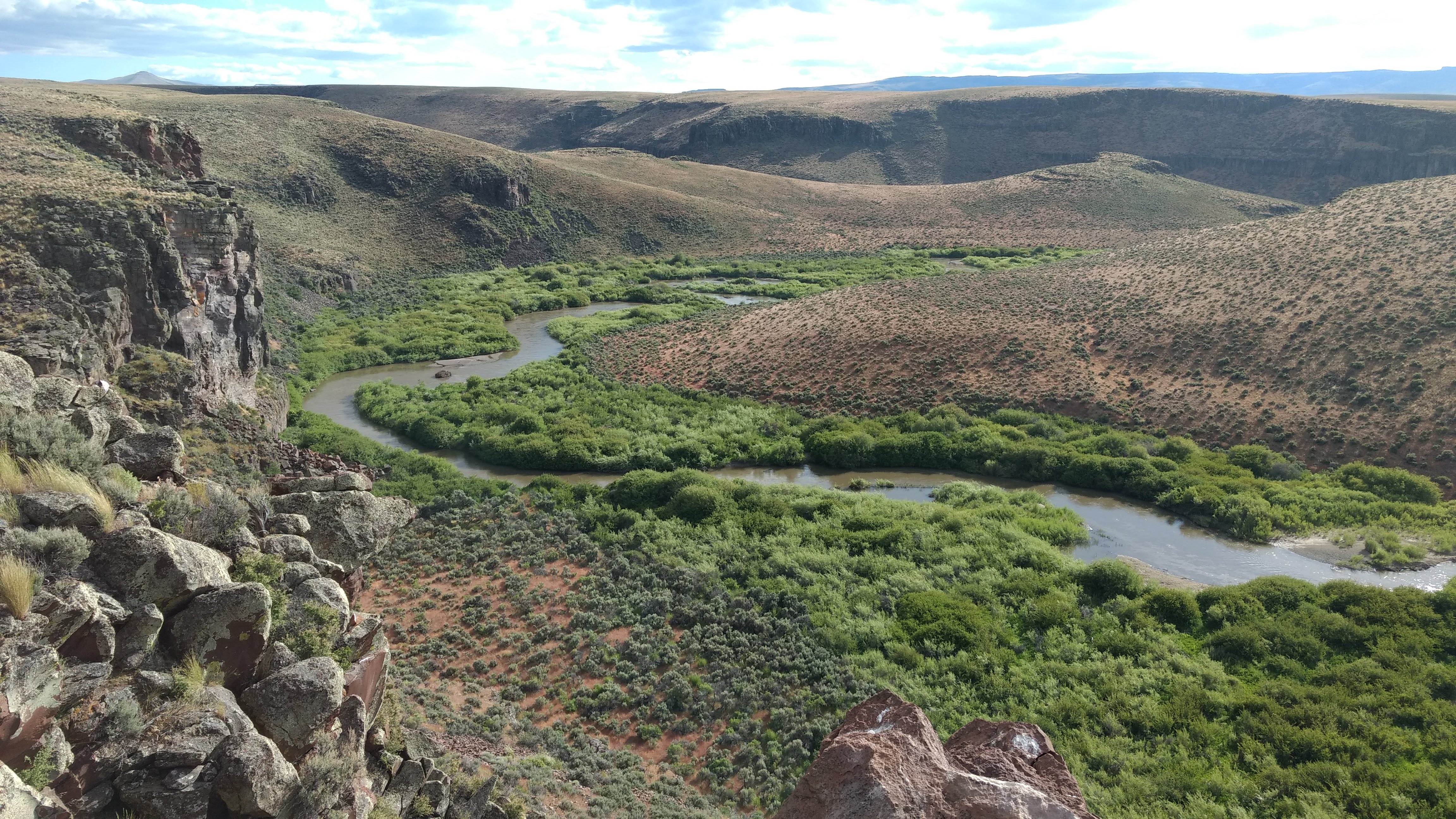 a Green River Valley in Idaho Steppe, June 2017