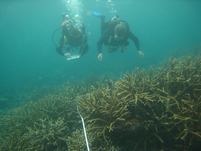 Yes researchers really do swim a transect and write down what they observe while they are down there. You do what you must when that’s all you’ve got.