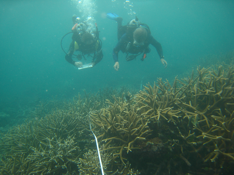 Yes researchers really do swim a transect and write down what they observe while they are down there. You do what you must when that&rsquo;s all you&rsquo;ve got.