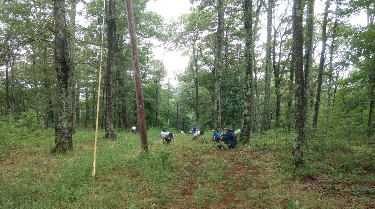Transplanting rare plants to 'protect nature.'