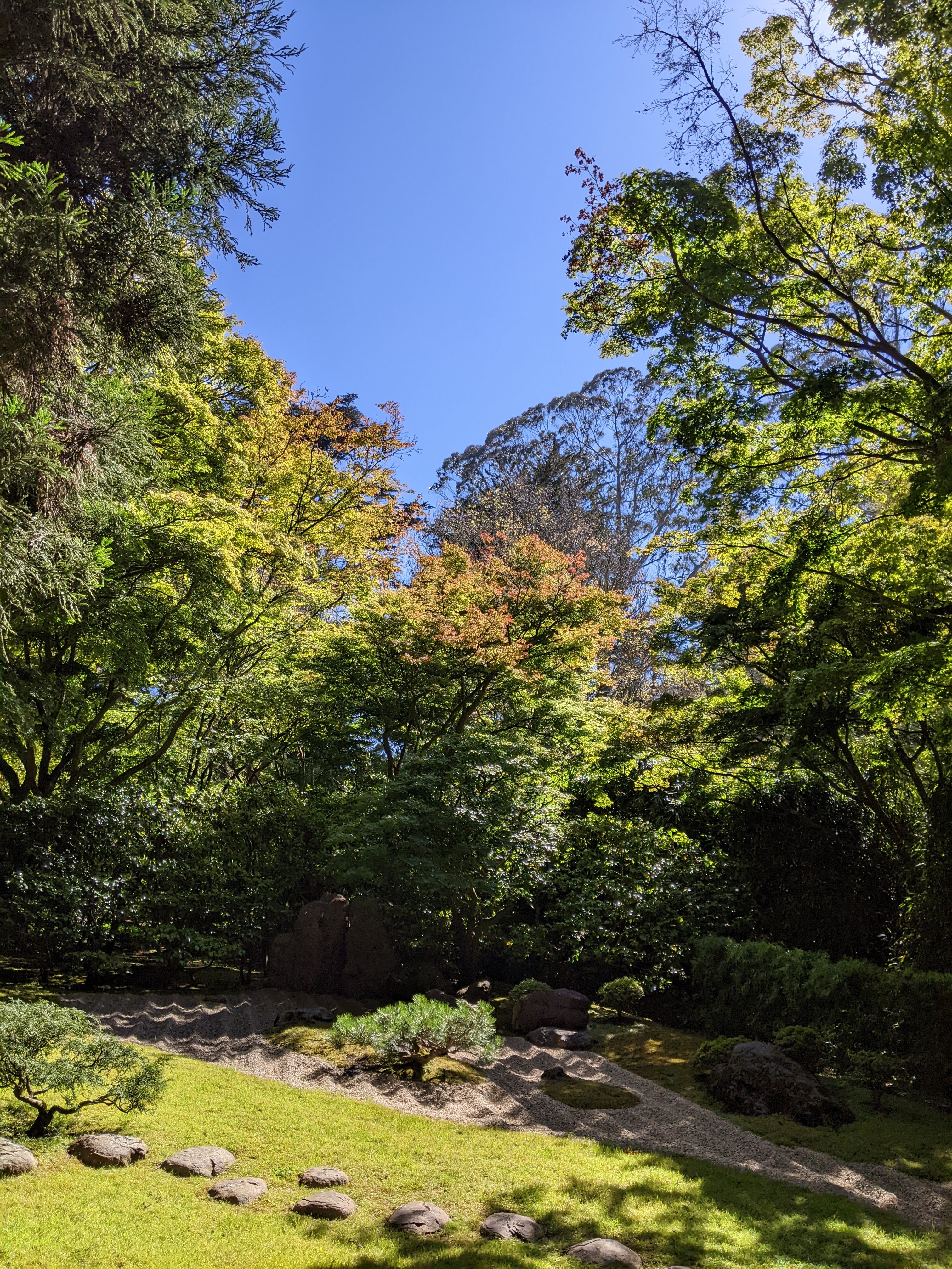 Natural garden